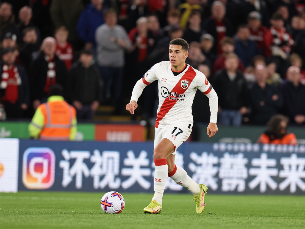 科尔曾表示 科尔曾表示